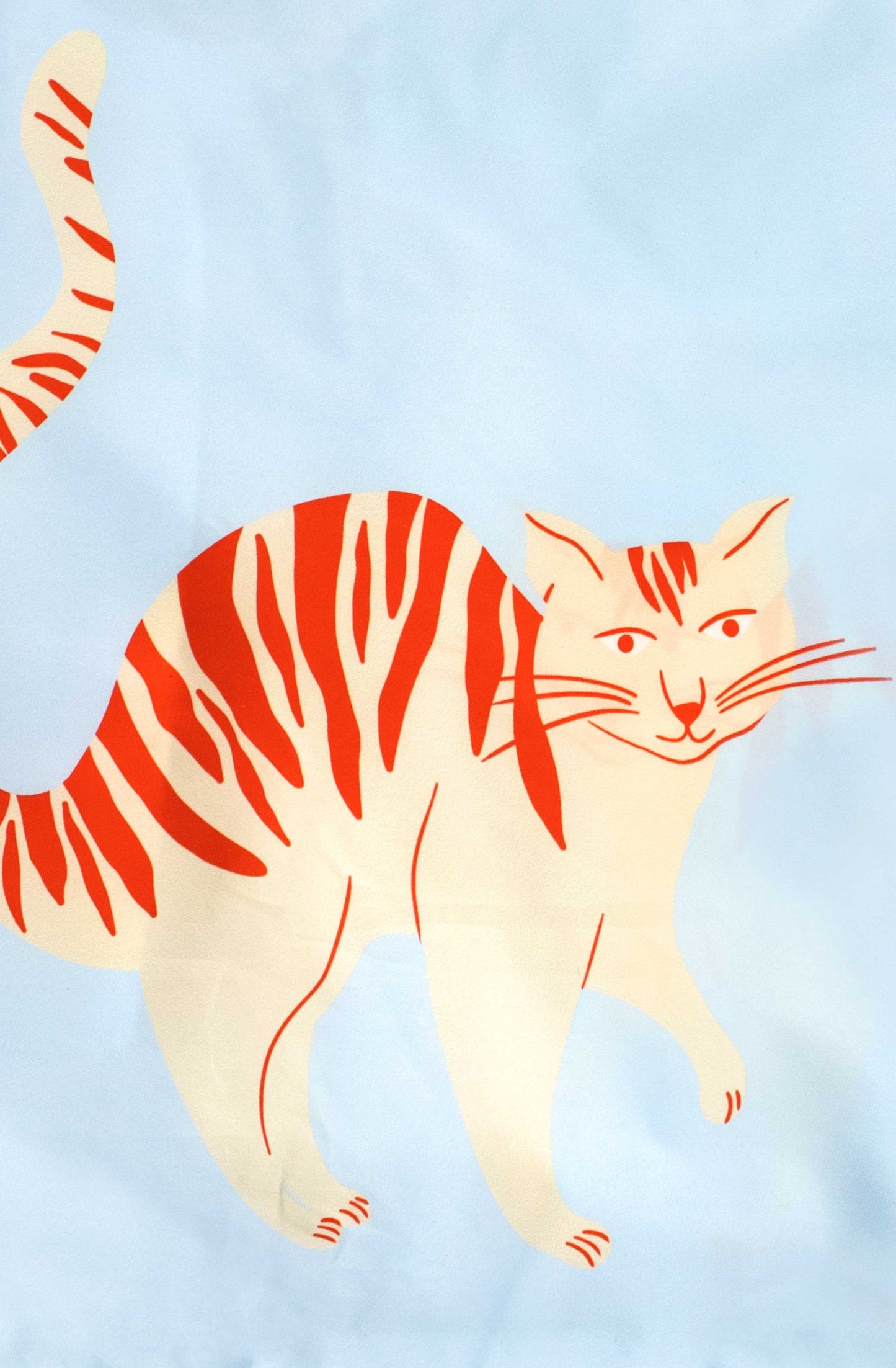 Medium Reusable Bag | Cat