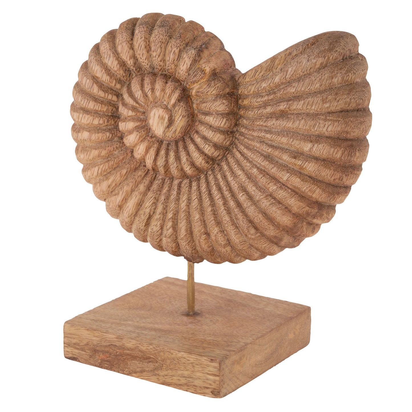 Carved Wood Shell