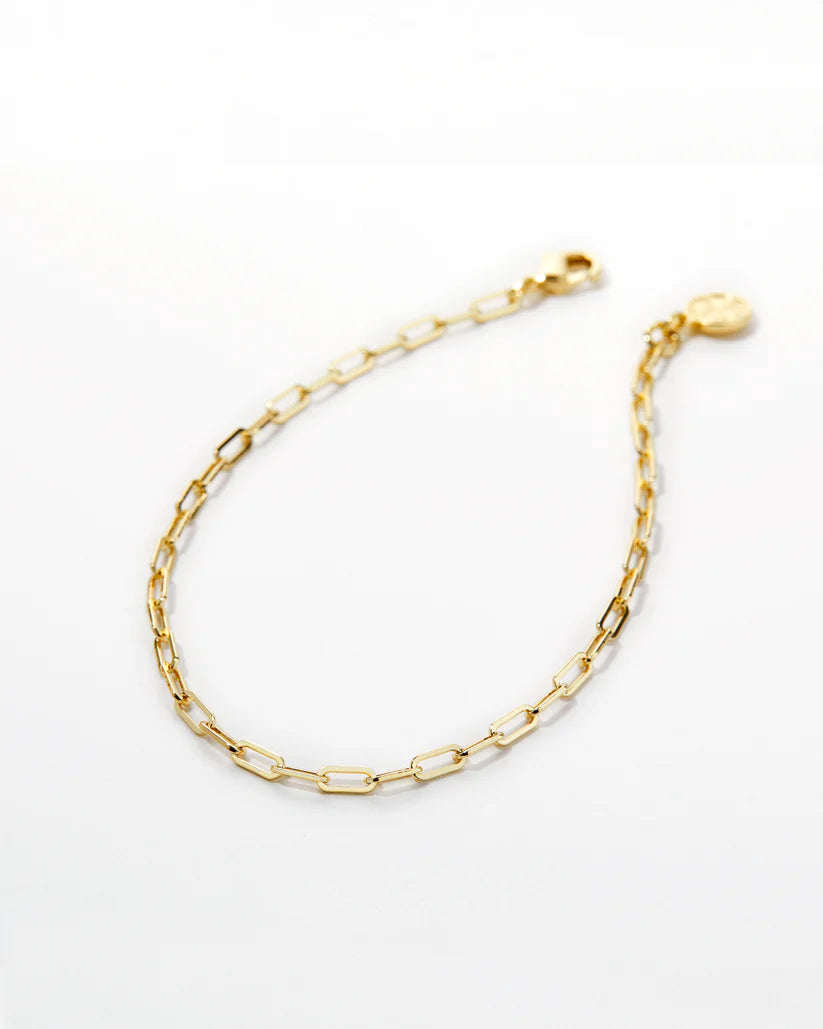 Connected Delicate Paperclip Anklet