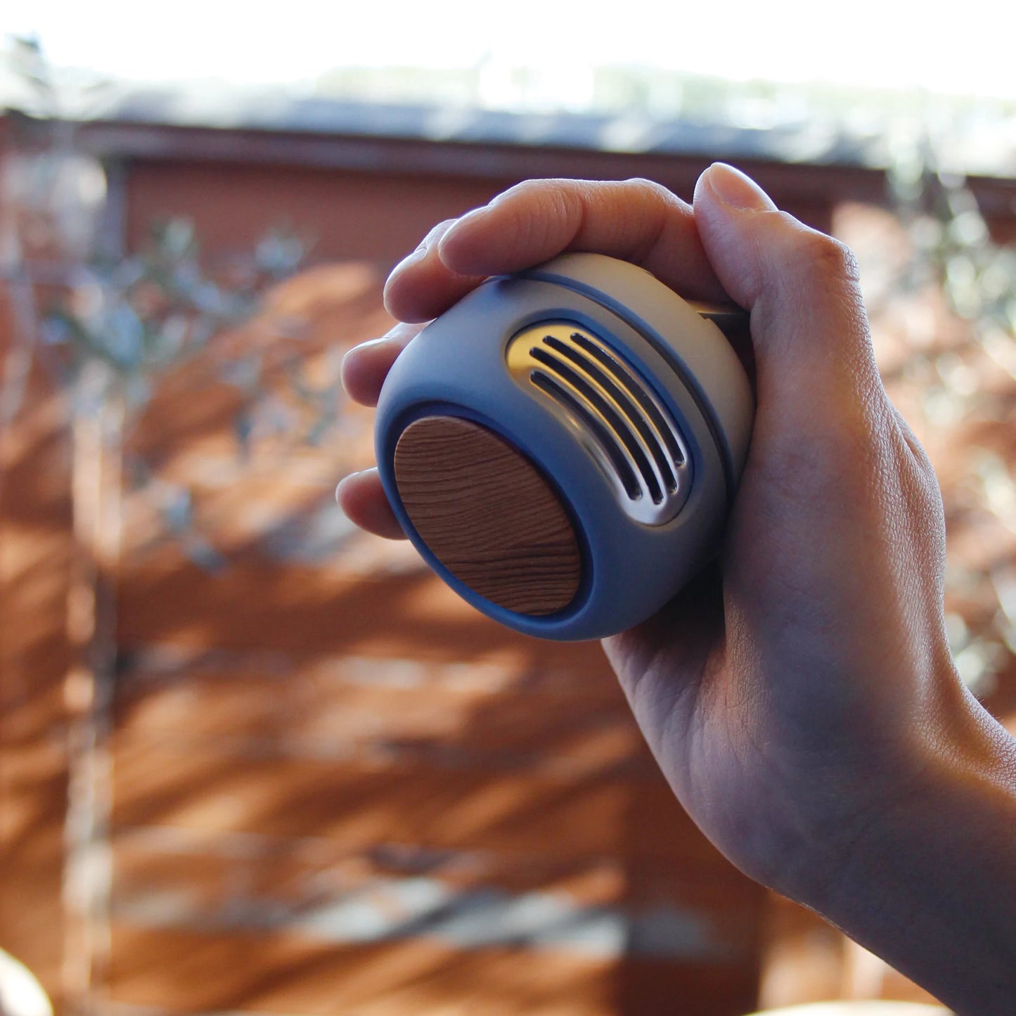 Pocket Fan