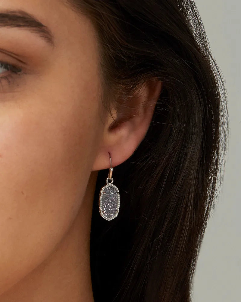 Lee Silver Earrings In Platinum Drusy