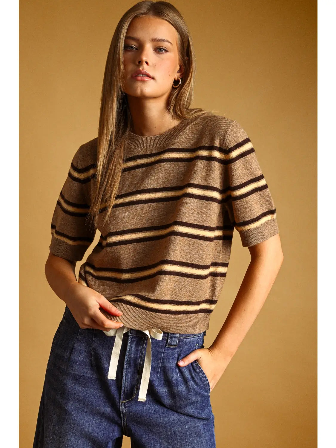Stripe Pattern Short Sleeve Knit Top