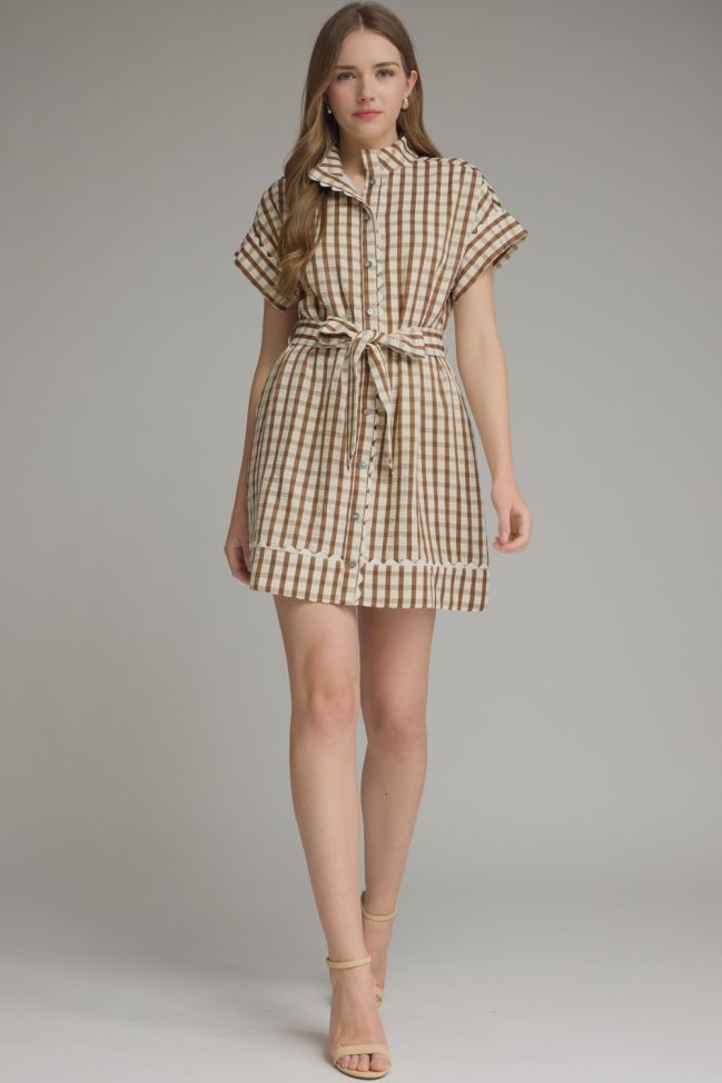 Gingham collared short sleeve mini dress